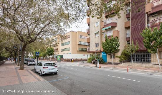 AMPLIA VIVIENDA JUNTO A ALFONSO X. - MURCIA