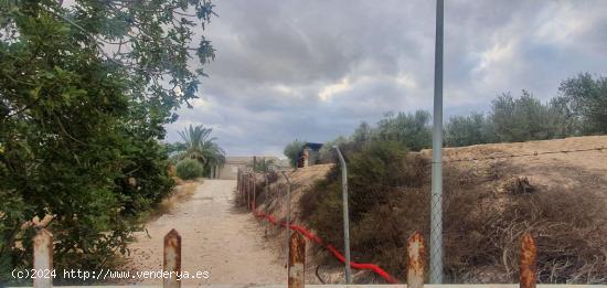 Casa de Campo en las Torres de cotillas - MURCIA