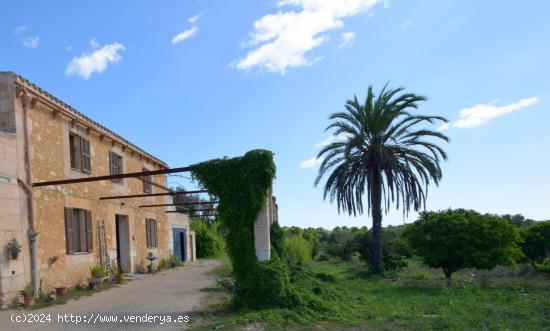  Finca rústica con encanto en Sant Llorenç des Cardassar - BALEARES 