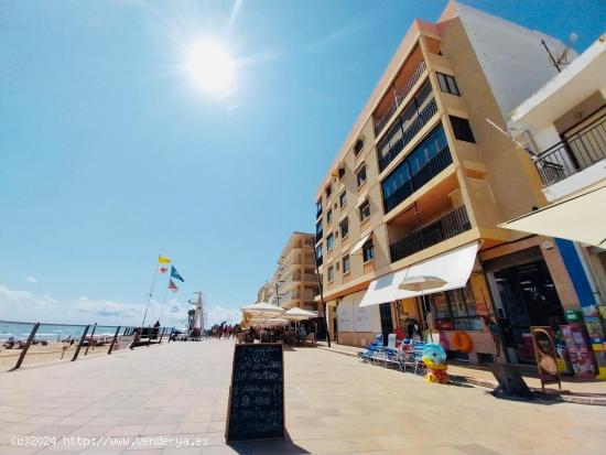  Primera línea en el Paseo Marítimo de Guardamar - ALICANTE 