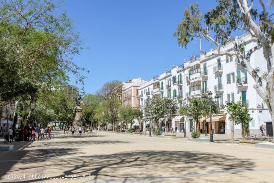  SOLAR PARA PROMOCION RESIDENCIAL EN IBIZA - BALEARES 