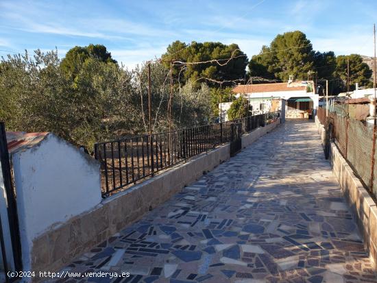  CAMPO EN ELDA - ALICANTE 