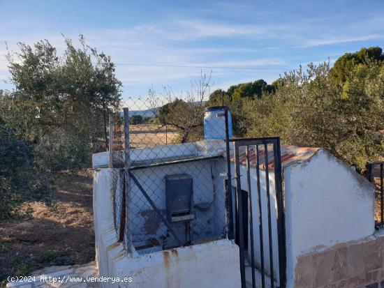 CAMPO EN ELDA - ALICANTE