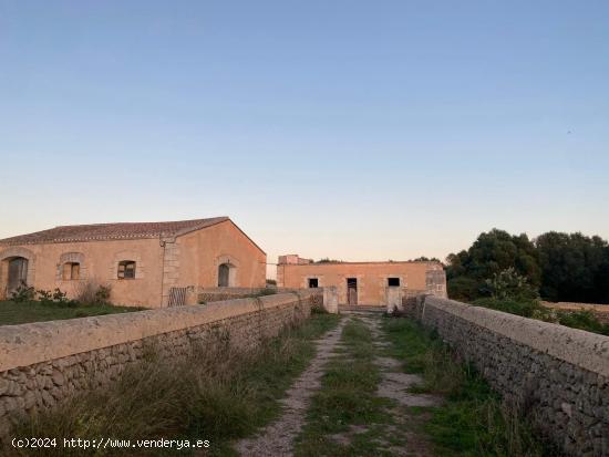 M-7194 Finca en Camí d'en Kane - BALEARES