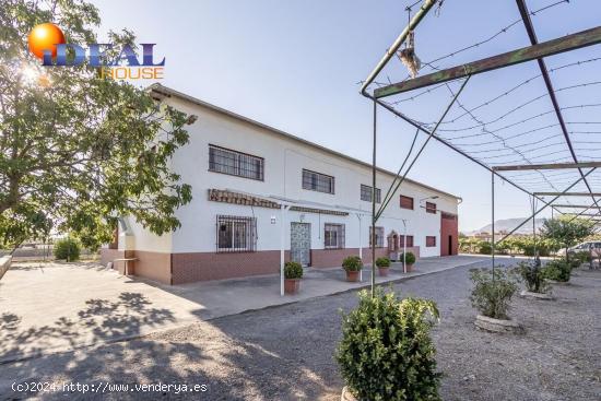 OPORTUNIDAD! CASA Y NAVE EN SANTA FÉ - GRANADA