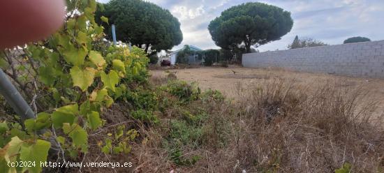 Parcela en proindiviso en Molino Viejo - CADIZ