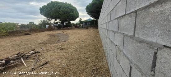 Parcela en proindiviso en Molino Viejo - CADIZ