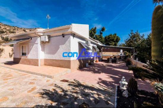 CHALET CON PISCINA: A 5 MINUTOS DE ELCHE - ALICANTE