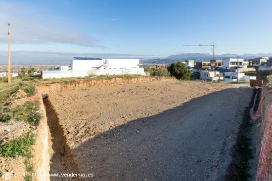 ¡Atención constructores de sueños y amantes de la naturaleza! - GRANADA