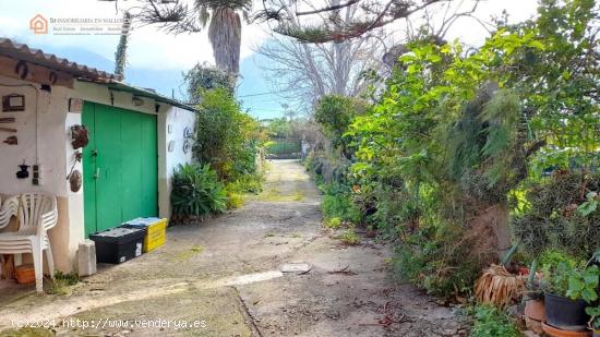 Finca Con Casa a Reformar En Un Paraje Tranquilo y Soleado En Sóller - BALEARES