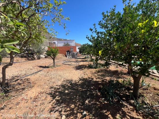 Finca idílica en Monte León - Retiro rural aislado con impresionantes vistas - LAS PALMAS