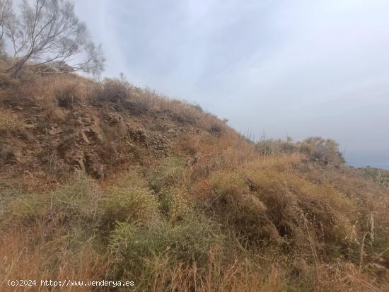 Venta de 14 Fincas Rústicas en Almuñecar - GRANADA