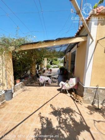 Se vende cortijo en Pechina - ALMERIA