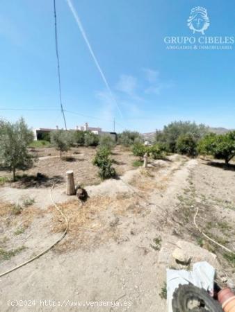 Se vende cortijo en Pechina - ALMERIA