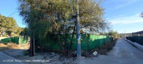 TERRENO RURAL CON CASA CONTENEDOR - MURCIA