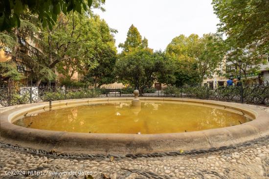 Amplio piso en Plaza de los lobos con Garaje opcional - GRANADA