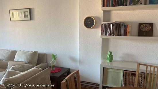 ALQUILER APARTAMENTO EN CALLE REAL! - MURCIA