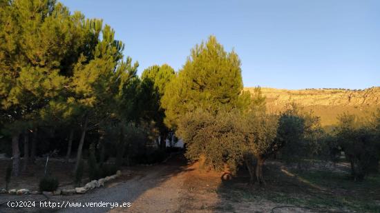 Paradisíaca Finca Rústica con Vivienda en Hellín - ALBACETE