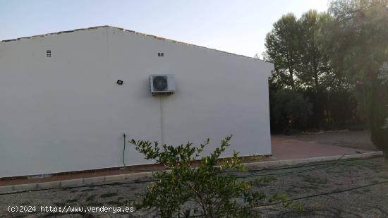 Paradisíaca Finca Rústica con Vivienda en Hellín - ALBACETE