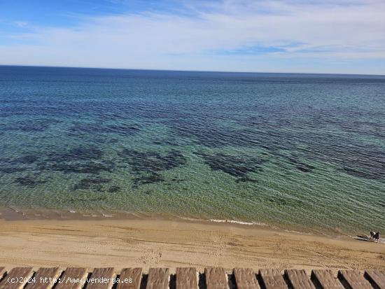 PISO EN LA MATA REFORMADO DE TRES HABITACIONES FRENTE AL MAR. - ALICANTE