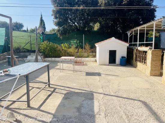 PARCELA DE CAMPO CON CASA Y PISCINA BUSCA PROPIETARIO QUE LA SEPA DISFRUTAR¡¡¡¡¡¡¡¡¡¡ - MA