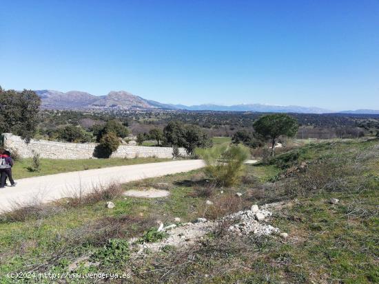 TERRENO EN FRESNEDILLAS DE LA OLIVA - MADRID