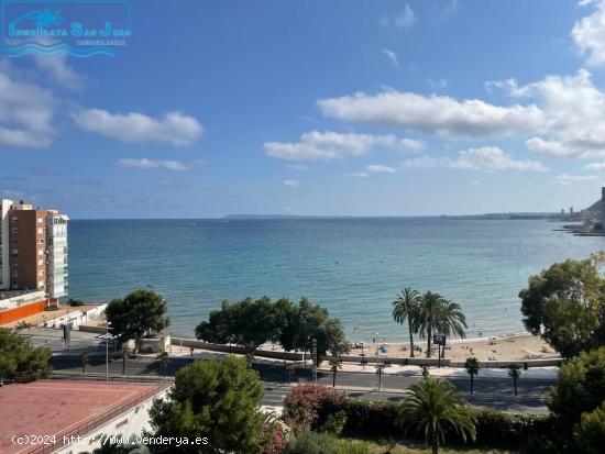 Alquiler de septiembre a junio - ALICANTE