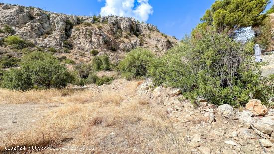 TERRENO URBANO EN PINARES DE SAN ANTÓN. MÁLAGA - MALAGA