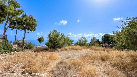 TERRENO URBANO EN PINARES DE SAN ANTÓN. MÁLAGA - MALAGA