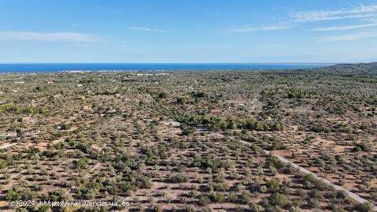 Transforma el campo en tu hogar ideal. - TARRAGONA