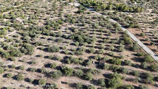 Transforma el campo en tu hogar ideal. - TARRAGONA