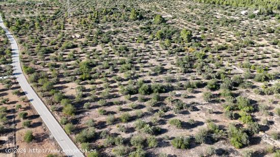 Transforma el campo en tu hogar ideal. - TARRAGONA