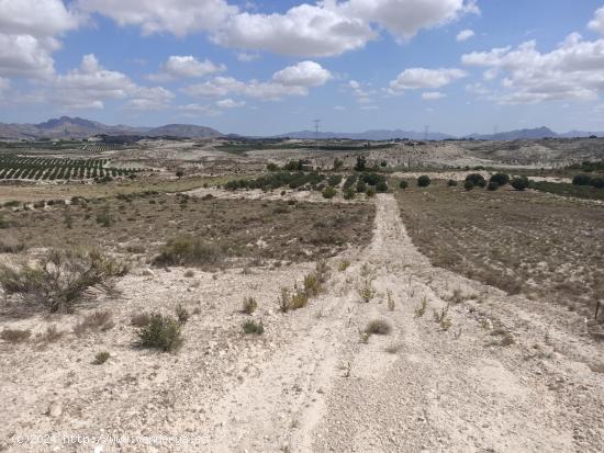 SE VENDE PARCELA EN LOS VALIENTES - MURCIA