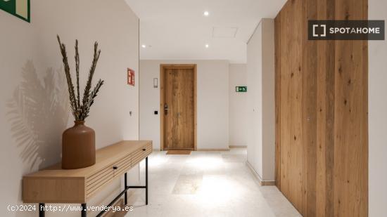 Apartamento entero de 1 habitaciones en Madrid - MADRID