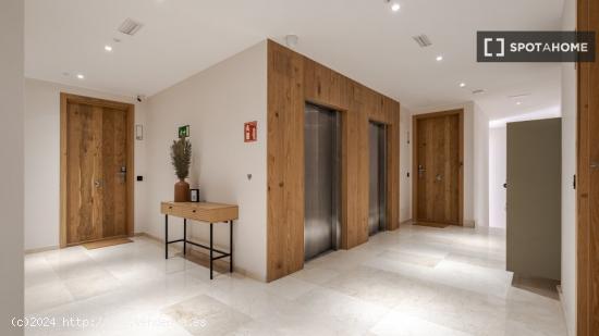 Apartamento entero de 1 habitaciones en Madrid - MADRID