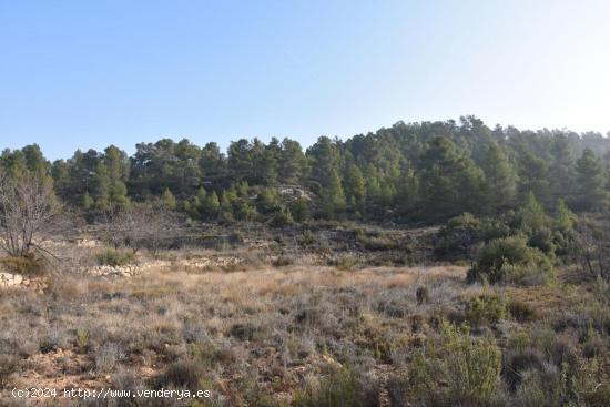 Se Vende en La Fresneda - TERUEL