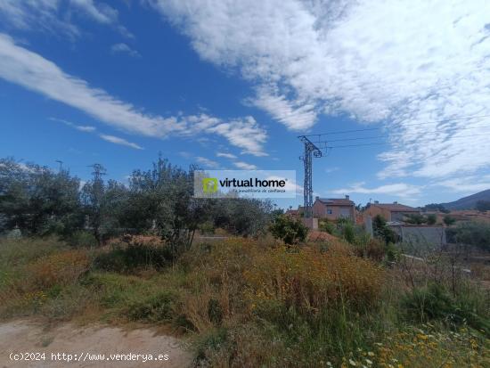 TERRENO EN LEVANTE URBANIZABLE CON PROYECTO Y LICENCIAS. - ALICANTE