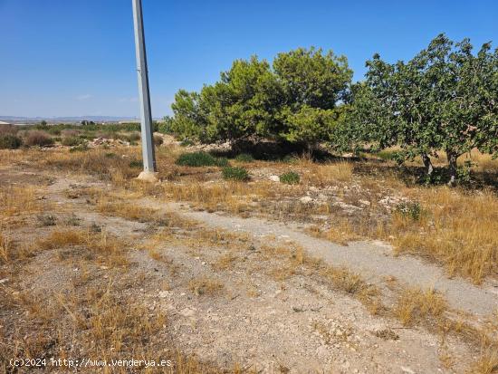 SE VENDE TERRENO CON CASA PARA REFORMAR - MURCIA