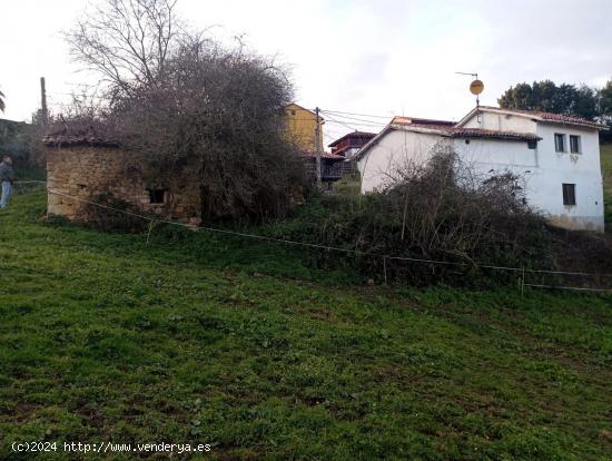  ¡Construye tu Paraíso en Faro, Oviedo! Finca Edificable con Vistas Panorámicas y Mucho Potencial