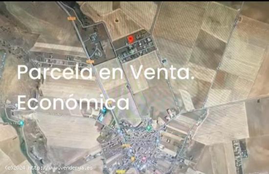 Venta de Parcela en Calvarrasa de Arriba - SALAMANCA