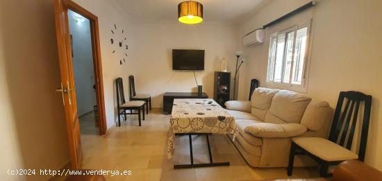 se alquila habitación para chica estudiante - SEVILLA