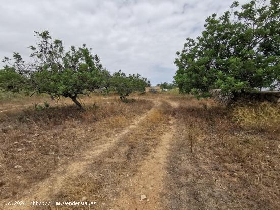 Se Vende en Santa Margalida - BALEARES