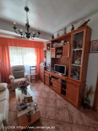 VENTA PISO EN EL CENTRO - CADIZ