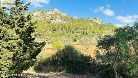 Finca con muchas posibilidades - BALEARES