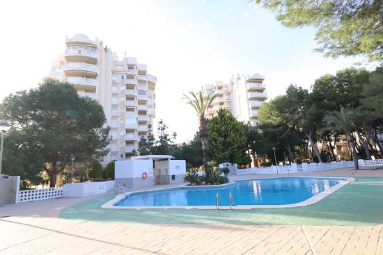 APARTAMENTO EN PINAR DE CAMPOAMOR - ALICANTE