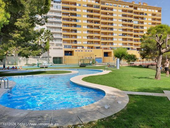 MUY BONITO APARTAMENTO EN CAMPOAMOR CON ZONA DE MERENDERO - ALICANTE