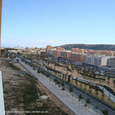 Estupendo ático con gran solárium en la zona de Garbinet. - ALICANTE