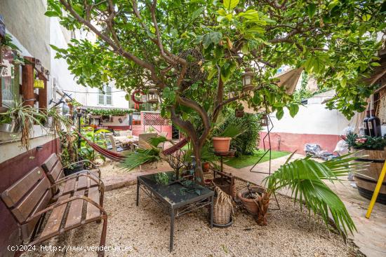  Planta baja de techo libre con jardín en El Fortí - BALEARES 