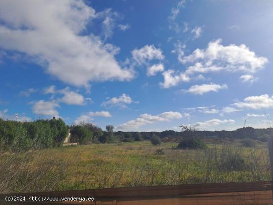 Se vende finca rústica de 15.000m2 con proyecto y licencia de obra en Algaida - BALEARES