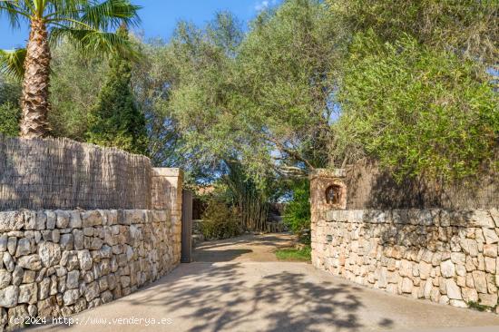 SANTANYI  FINCA RUSTICA - BALEARES